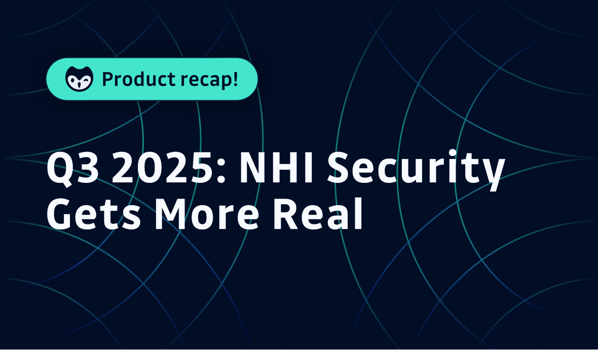 Q3 2025: NHI Security Gets More Real