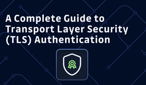 A Complete Guide to Transport Layer Security (TLS) Authentication