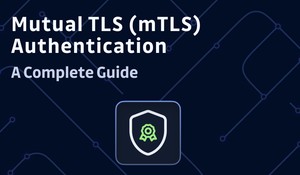 Mutual TLS (mTLS) Authentication - A Complete Guide 