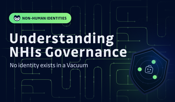 Identities Do Not Exist in a Vacuum: A View on Understanding Non-Human Identities Governance