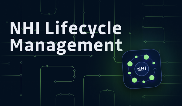 The Challenges of Identity Lifecycle Management for NHIs