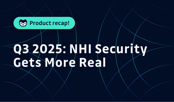 Q3 2025: NHI Security Gets More Real